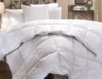 Two 100% European
White Goose Down Quilts